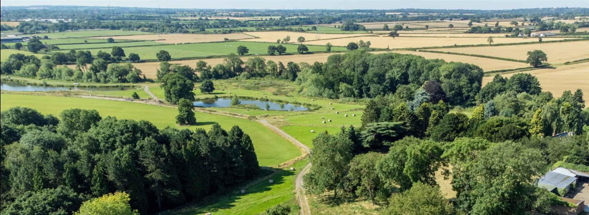About us Fox property